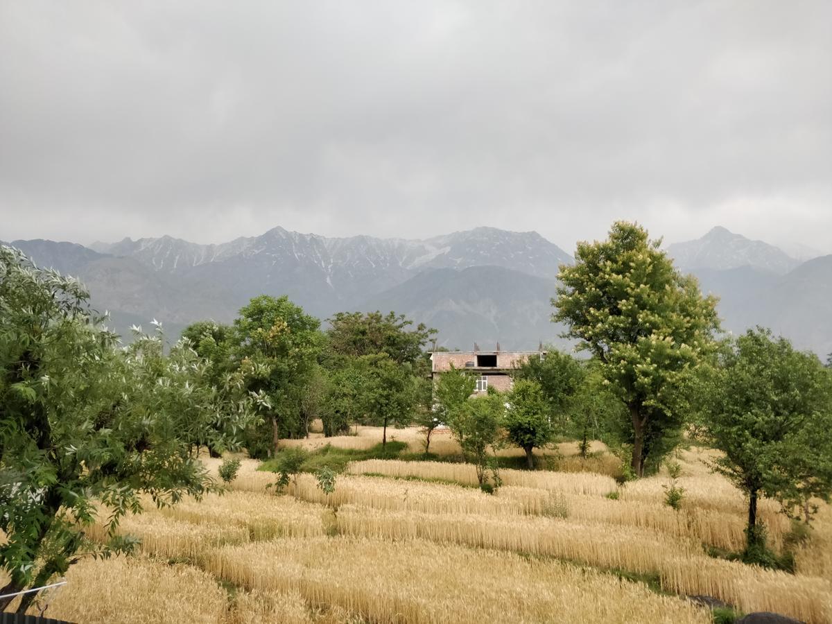 D'Polo Club&Spa Resort Dharamshala Exterior foto